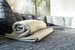 Dekoratives Detail - App. 103 - Top-Hundeurlaub