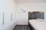 Bett - Seemuschel - Top-Hundeurlaub