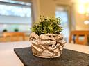 Dekoratives Detail - Haus 26b - Top-Hundeurlaub