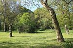 Herrenhaus 2-Zimmer Wohnung 2 - Top-Hundeurlaub