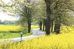 Herrenhaus Studio 3 - Top-Hundeurlaub