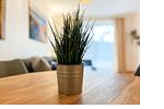 Dekoratives Detail - Wohnung 05 - Top-Hundeurlaub