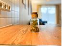 Dekoratives Detail - Wohnung 05 - Top-Hundeurlaub