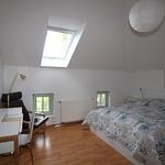 Herrenhaus App. 14 - Top-Hundeurlaub