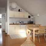 Herrenhaus App. 14 - Top-Hundeurlaub