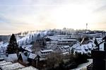 Blick auf Sehenswürdigkeit - Ferienwohnung 713 - Top-Hundeurlaub