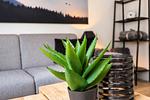 Ferienwohnung 301 - Top-Hundeurlaub