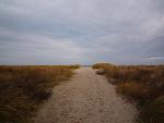 Achterdeck - Top-Hundeurlaub