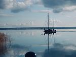 Bild vom Bodden in Zingst - Wohnung 5-73 - Top-Hundeurlaub