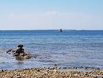 Strand - Krabbenfischer - Top-Hundeurlaub