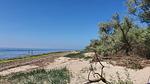 Strand - Krabbenfischer - Top-Hundeurlaub