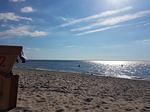 Strand - Krabbenfischer - Top-Hundeurlaub