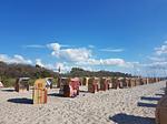Strand - Krabbenfischer - Top-Hundeurlaub
