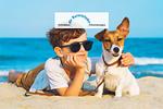 Herr Ober 26/Bar - Top-Hundeurlaub