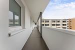 Fassade / Eingang - Seestern - Top-Hundeurlaub