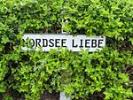 Empfang - Nordseeliebe - Top-Hundeurlaub