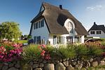 Hauptansicht - Ferienhaus Schilfrohrsänger 18 - Top-Hundeurlaub