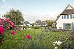 Hauptansicht - Ferienhaus Schilfrohrsänger 18 - Top-Hundeurlaub