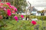 Hauptansicht - Ferienhaus Schilfrohrsänger 18 - Top-Hundeurlaub