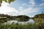 Ferienhaus Seeadler 9 - Top-Hundeurlaub