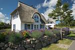 Hauptansicht - Ferienhaus Schilfrohrsänger 28 - Top-Hundeurlaub