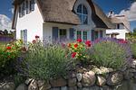 Hauptansicht - Ferienhaus Schilfrohrsänger 28 - Top-Hundeurlaub