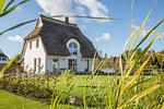 Hauptansicht - Ferienhaus Schilfrohrsänger 31 - Top-Hundeurlaub