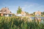 Gartenblick - Ferienhaus Schilfrohrsänger 31 - Top-Hundeurlaub