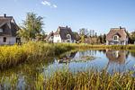 Hauptansicht - Ferienhaus Schilfrohrsänger 31 - Top-Hundeurlaub