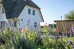 Hauptansicht - Ferienhaus Seeschwalbe 60 - Top-Hundeurlaub