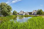Landschaft - Ferienhaus Seeschwalbe 60 - Top-Hundeurlaub