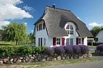 Ferienhaus Schilfrohrsänger 61 - Top-Hundeurlaub