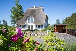 Hauptansicht - Ferienhaus Schilfrohrsänger 48 - Top-Hundeurlaub