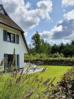 Hauptansicht - Ferienhaus Seeschwalbe 44 - Top-Hundeurlaub