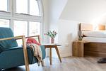 Dekoratives Detail - Ferienhaus Schilfrohrsänger 6 - Top-Hundeurlaub