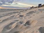 Strand - Albatros OG - Top-Hundeurlaub