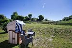 Terrasse - Haus: Meerblick, Garten - Top-Hundeurlaub