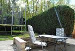 Terrasse - FeWo 01: Terrasse und Gartennutzung, Sauna- u. Schwimmbadnutzung - Top-Hundeurlaub