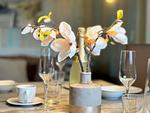 Wohnzimmer - Haus Holiday- Wohnung 5 - Top-Hundeurlaub