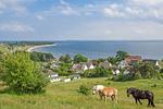Landschaft - FeWo 02: strandnah,Terrasse - Top-Hundeurlaub