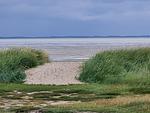 Strand - Torben´s Hüs - Top-Hundeurlaub