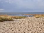Strand - Torben´s Hüs - Top-Hundeurlaub