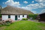 Hauptansicht - Haus R: Terrasse, Garten - Top-Hundeurlaub