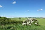 Landschaft - Haus R: Terrasse, Garten - Top-Hundeurlaub