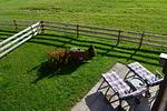 Blick vom Balkon in den Garten - Allgäuglück - Feriendorf Via Claudia Haus 74 - Top-Hundeurlaub