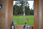 Landschaft - Allgäuglück - Feriendorf Via Claudia Haus 74 - Top-Hundeurlaub