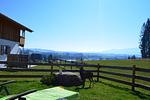 Gartenblick - Waldromantik - Feriendorf Via Claudia Haus 75 - Top-Hundeurlaub