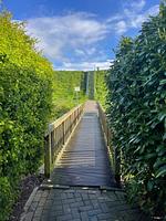 Landschaft - Deichbrise - Top-Hundeurlaub