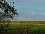 Landschaft - Deichbrise - Top-Hundeurlaub