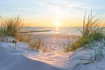 Promenadenblick/Captains-Suite - Top-Hundeurlaub
